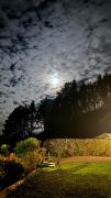 Top Elanchove