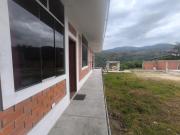 Top Nuevo Tingo
