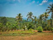 Top Meenangadi