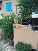 Casa Ady
