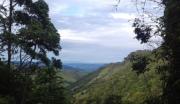Top Araras Petrópolis