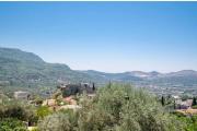 Top Stari Bar
