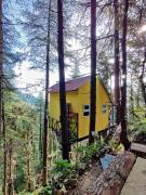 Top Chail