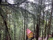 Top Chail