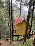 Top Chail