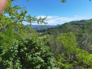 Villa Paradiso Julia