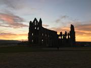 Top Whitby