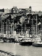 Top Whitby
