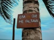 Top Praia dos Algodões