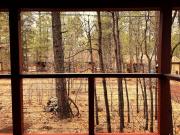 Top Indian Pine