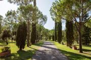 Top Grosseto
