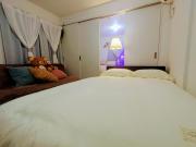 The Akasaka roppongi Central Stay