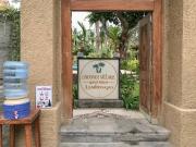 Top Nusa Lembongan