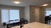 Top Ottawa