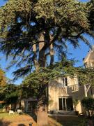 Grande maison familiale hyper calme avec jacuzzi au coeur de Cognac