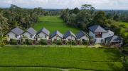 Top Ubud