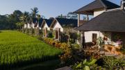 Top Ubud