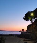 Top Arma di Taggia