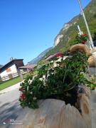Top Campi