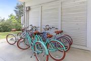Top Cape San Blas
