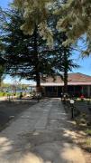 Top Ohrid