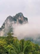Top Ban Bang Thong