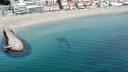Top Sesimbra