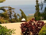 Top Tazacorte