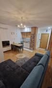 Modern Studio in Atrium Residence