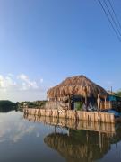 Top Rincón