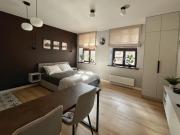 Ferro Heritage Apartment - Design Loft in Renovated Historic Tenement, Old Town Poznań