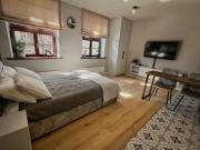 Ferro Heritage Apartment - Design Loft in Renovated Historic Tenement, Old Town Poznań