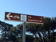 Top Marina di Pisa
