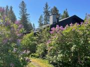 Top Grisslehamn