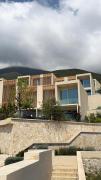 Top Palasë