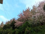 Top Kalimpong