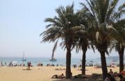 Top Le Lavandou