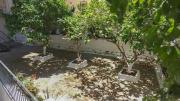 Top Samos