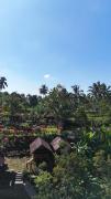 Top Tetebatu