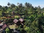 Top Tetebatu