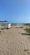 Top Monte Gordo Top Monte Gordo