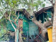 Eco Tree House Yala