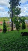 Top Wayanad