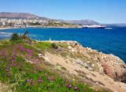 Top Rafina
