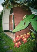 Laa Cabana Lombok Glamping