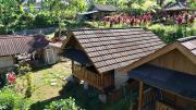 Sunset Bungalow Tetebatu