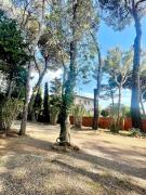 Top Castiglioncello