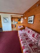 Top Plagne Villages