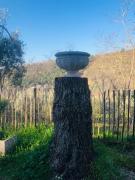 Top Arqua Petrarca