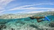 Top Pulau Pittojat